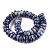 Natural Blue Spot Jasper Beads Strands G-T138-72-2