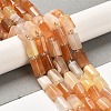 Natural Orange Botswana Agate Beads Strands G-N327-06-31-1