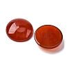 Natural Agate Cabochons G-K348-08B-03-3