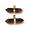 Natural Tiger Eye Double Terminal Pointed Pendants G-NH0001-15G-08-1