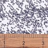 MIYUKI Delica Beads X-SEED-J020-DB2167-4