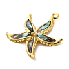 304 Stainless Steel Pave Natural Paua Shell/Abalone Shell Pendants STAS-S163-21G-2