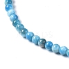 Natural Apatite Beads Strands G-I254-08F-4