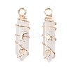 2Pcs 2 Styles Natural Quartz Crystal Double Terminated Pointed Pendants PALLOY-JF03122-05-1