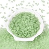 FGB Frosted Transparent Glass Seed Beads SEED-N013-06A-08-2