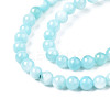 Natural Freshwater Shell Beads Strands X-BSHE-T009A-01E-2