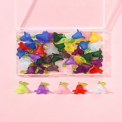 50Pcs Transparent Acrylic Pendants PALLOY-FS00043-05-1