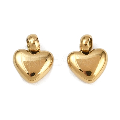 304 Stainless Steel Charms STAS-R170-01G-02-1