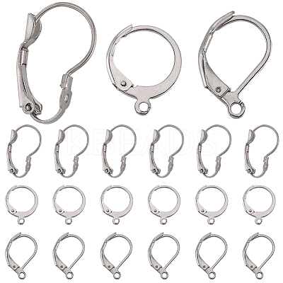 60Pcs 3 Styles 304 Stainless Steel Leverback Earring Findings STAS-SC0008-14-1