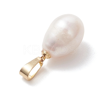 Natural Cultured Freshwater Pearl Pendants PALLOY-JF04963-1
