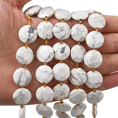 Natural Howlite Beads Strands G-A292-A03-01-1