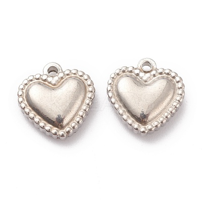 Non-Tarnish 304 Stainless Steel Charms STAS-G244-02P-1