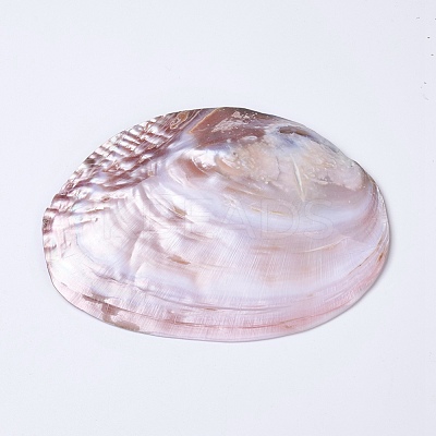 Natural Freshwater Pearl Shell Decoration SHEL-K002-01A-1