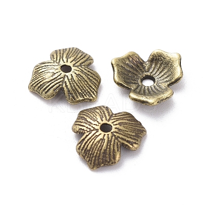Tibetan Style Alloy Bead Caps LS-TIBEB-EA11600YKG-AB-LF-1