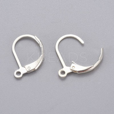 304 Stainless Steel Leverback Earring Findings STAS-H434-51S-1