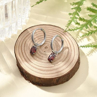 304 Stainless Steel Micro Pave Cubic Zirconia Hoop Earrings STAS-R004-07P-01-1