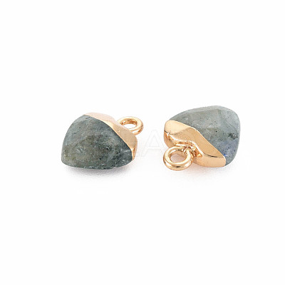 Natural Labradorite Charms G-N326-121-05-1