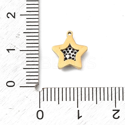 304 Stainless Steel Micro Pave Cubic Zirconia Charms LS-STAS-I356-04G-08-1