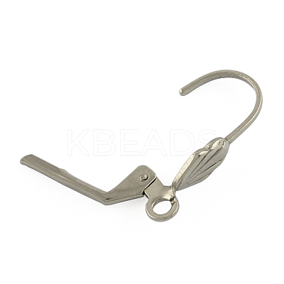 Tarnish Resistant 304 Stainless Steel Leverback Earring Findings LS-STAS-S028-09-1
