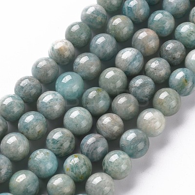 Natural Amazonite Beads Strands G-S333-8mm-005-1