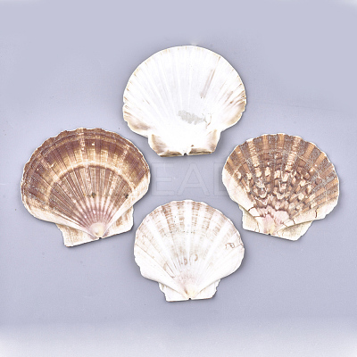 Natural Scallop Shell Beads SSHEL-S258-46-1