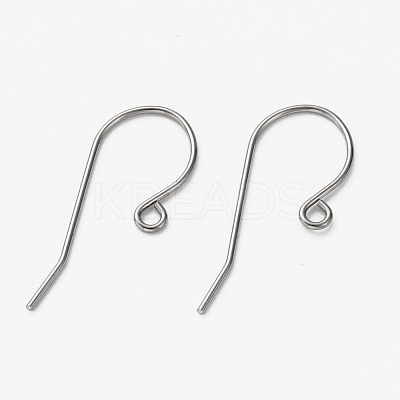 Tarnish Resistant 304 Stainless Steel Earring Hooks X-STAS-L253-004P-1
