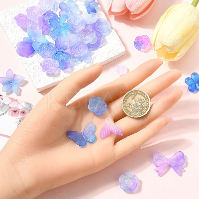 50G Transparent Acrylic Beads OACR-YW0002-44F-1