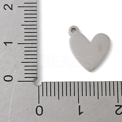 304 Stainless Steel Enamel Charms LS-STAS-K312-05B-P-1