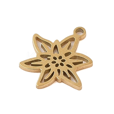 304 Stainless Steel Pendants STAS-S139-06G-01-1