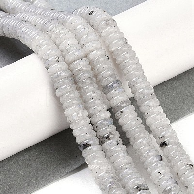 Natural Labradorite Beads Strands G-Q159-B10-01-1