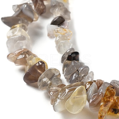 Natural Botswana Agate Beads Strands LS-G-E607-A10-1