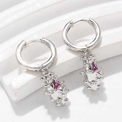 Brass Cubic Zirconia Hoop Earrings EJEW-Q015-01P-1