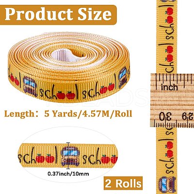Polyester Ribbon OCOR-WH20061-006-1