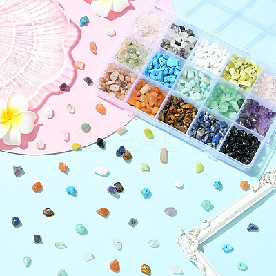 210g 14 Styles Natural Mixed Gemstone Chip Beads and 15g Opaque Glass Chip Beads Kits G-YW0002-37-1