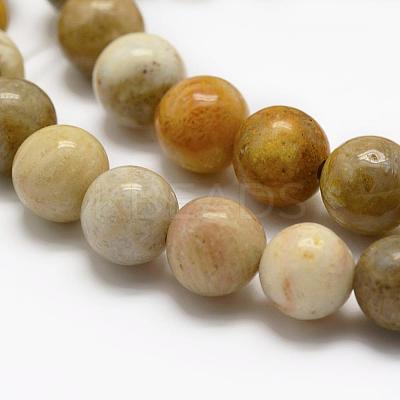 Natural Fossil Coral Beads Strands G-K194-4mm-05-1