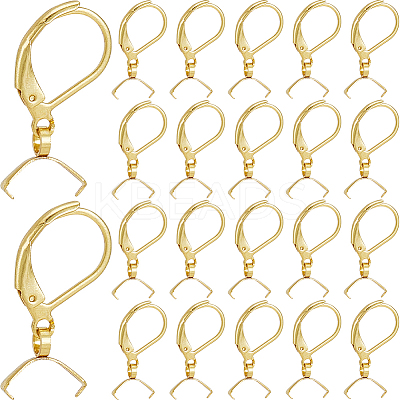 60Pcs 304 Stainless Steel Leverback Earring Findings STAS-SP0001-21G-1