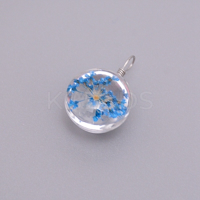 Transparent Glass Pendants GLAA-TAC0003-06R-1
