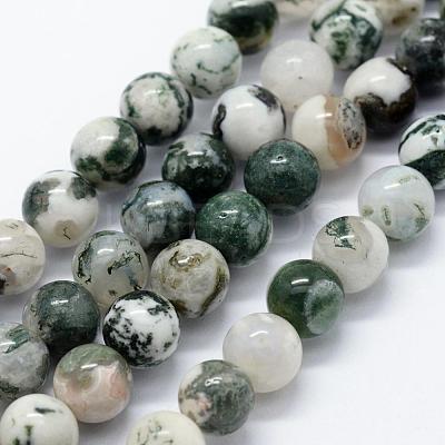 Natural Tree Agate Beads Strands G-I199-03-8mm-1
