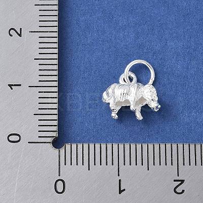 925 Sterling Silver 3D Chinese Zodiac Charms STER-P066-01S-02-1