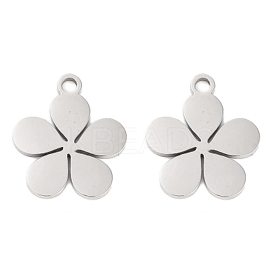 Non-Tarnish 316 Stainless Steel Charms LS-STAS-C096-10C-P-1