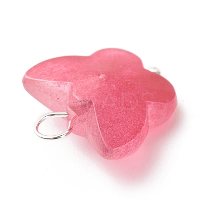 Frosted Two Tone Spray Painted Transparent Acrylic Pendants PALLOY-JF01810-01-1