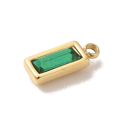 304 Stainless Steel Charm STAS-L022-242G-1