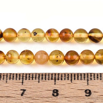 Natural Amber Beads Strands G-K387-D02-03-1