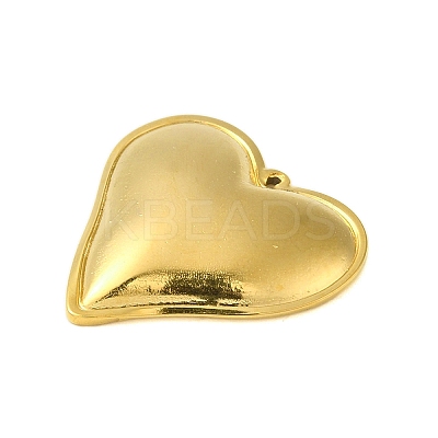 Ion Plating(IP) 304 Stainless Steel Pendants STAS-C104-36G-1