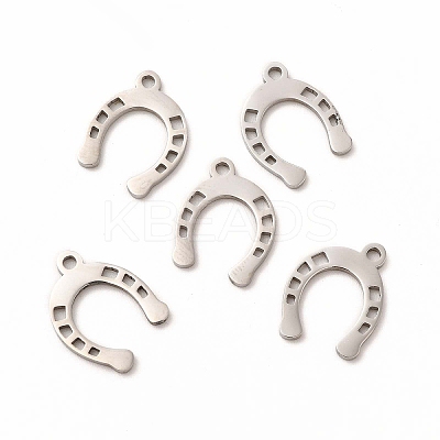 Non-Tarnish 201 Stainless Steel Charms STAS-E188-05P-1