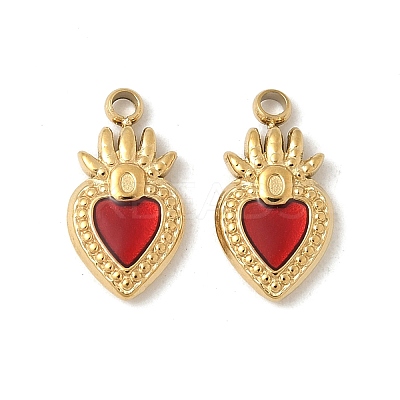 304 Stainless Steel Enamel Charms STAS-V015-18A-G-1
