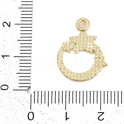 Rack Plating Alloy Micro Pave Rhinestone Pendants FIND-K020-05G-1