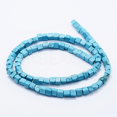 Synthetic Turquoise Beads Strands G-K260-08I-1