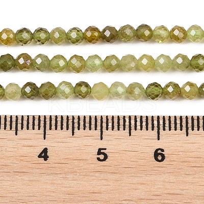 Natural Green Garnet Beads Strands G-B181-A01-3mm-1