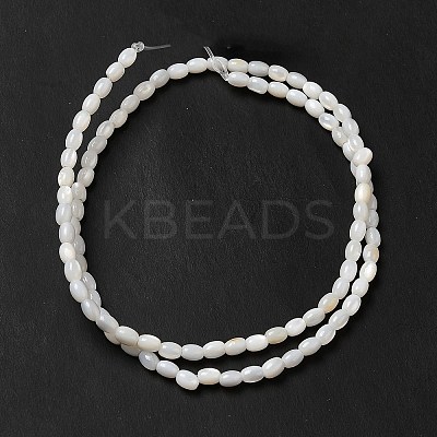 Natural Freshwater Shell Beads Strand BSHE-E026-16B-1